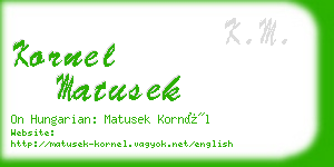 kornel matusek business card